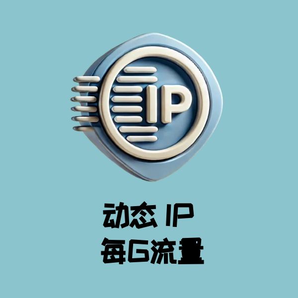 动态 IP 每G流量