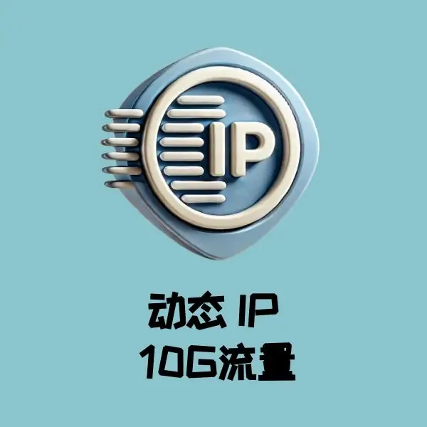 动态 IP 10G流量