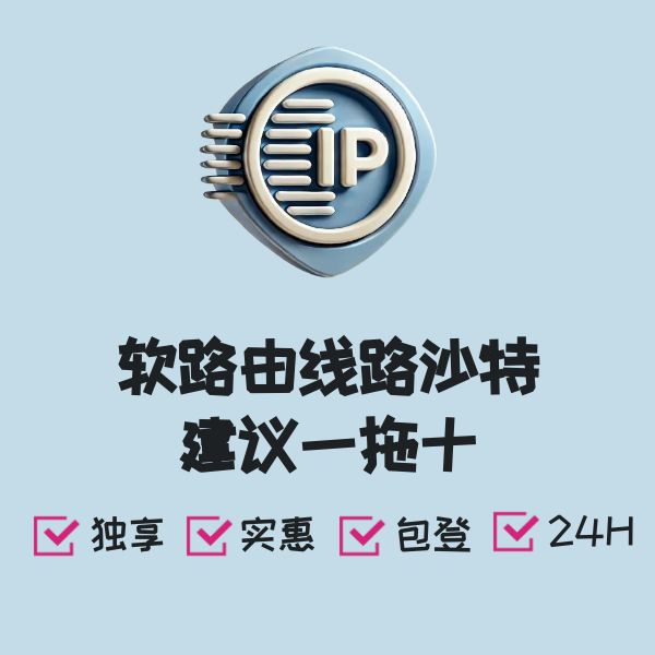 软路由线路沙特建议一拖十
