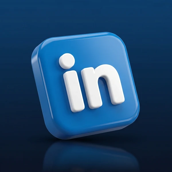 新注册的 LinkedIn 帐户，电子邮件地址无效，开启2FA，无售后，存活率99%