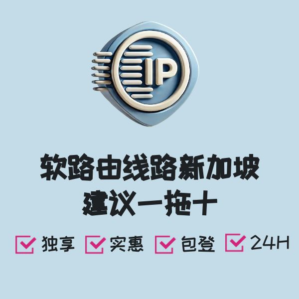 软路由线路新加坡建议一拖十