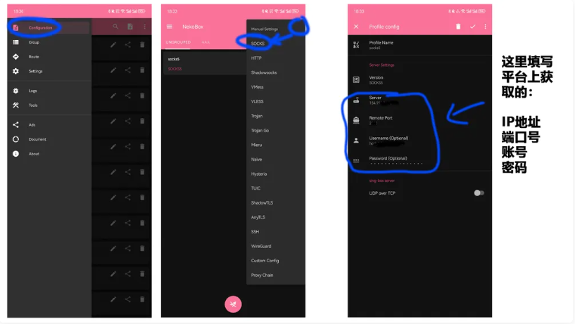 填写 Socks5 信息